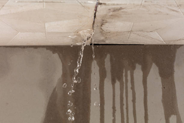 Professional Burst Pipe Cleanup technician working in South Wellfleet, MA